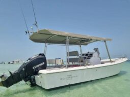 Evinrude 4200 2003 full