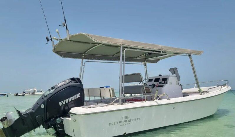 Evinrude 4200 2003 full