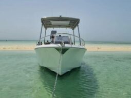 Evinrude 4200 2003