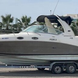 Boat Sea Ray 2008
