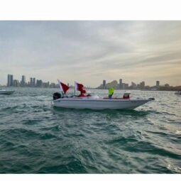 Boat Seagulls 2016