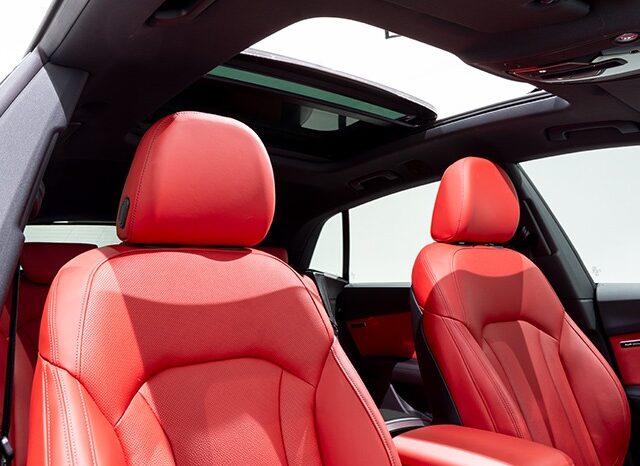 Audi Q8 2023 full