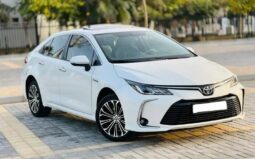 Toyota Corolla 2022 full