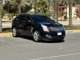 Cadillac Srx 2010