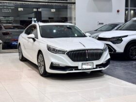 Hongqi H-5 2023