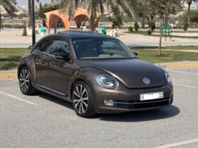 Volkswagen Beetie 2015