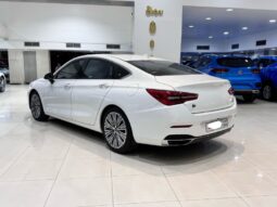 Hongqi H-5 2023 full