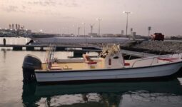 Boats seagull 2010 full