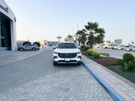 Ford Territory 2024