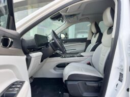 Ford Territory 2024 full