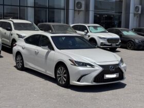 Lexus Es300 2020