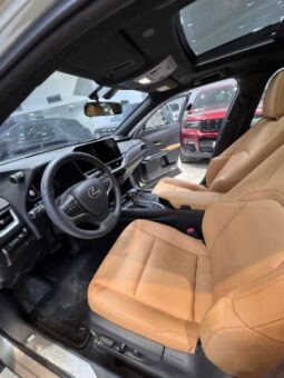 Lexus UX-200 2023 full