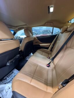 Lexus Es350 2023 full
