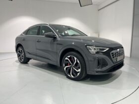 Audi Q8 2024