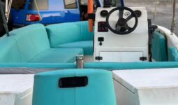 Boats Cruiser 2009 full