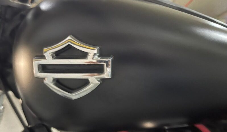 Harley Davidson Street Bob 2010 full