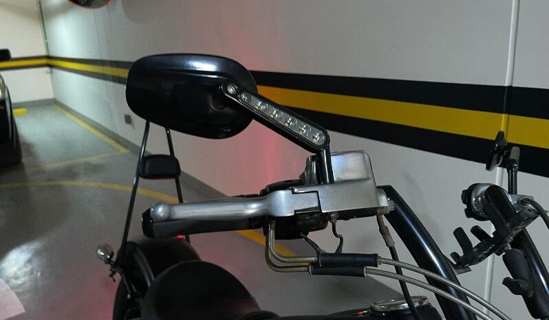 Harley Davidson Street Bob 2010 full