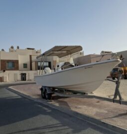 Boats Cruiser 2022 full