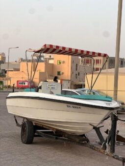 Boats American cruiser 17 feet 2009 full