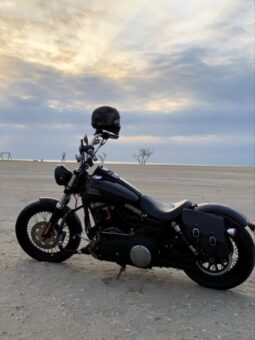 Motorcycle Harley Davidson 2013 full