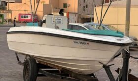 Boats American cruiser 17 feet 2009