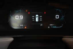 Chevrolet Captiva 2024 full