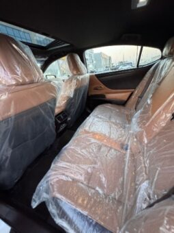 Lexus Es300 2019 full