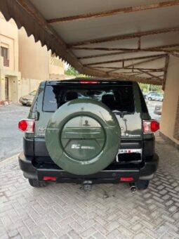 Toyota Fj Cruiser 2010 full