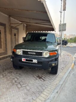 Toyota Fj Cruiser 2010 full