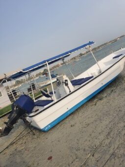 Boats Cruiser 2019 full
