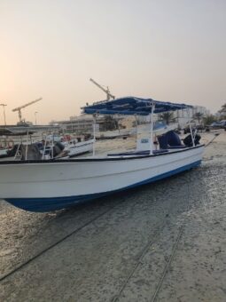 Boats Cruiser 2019 full