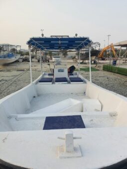Boats Cruiser 2019 full