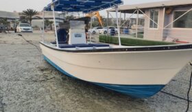 Boats Cruiser 2019