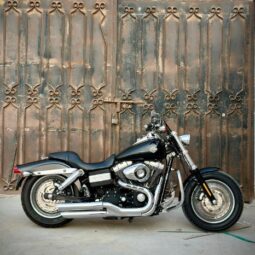 Motorcycle Harley Davidson 2010 full