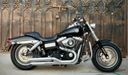 Motorcycle Harley Davidson 2010