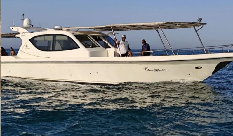 Boats Sea Master 2012 full