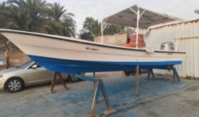 Boats Aldurazi Boats 2012