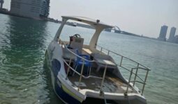 Boats American catamaran 2020 full