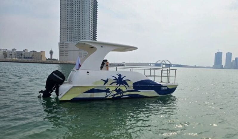 Boats American catamaran 2020 full