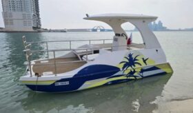 Boats American catamaran 2020