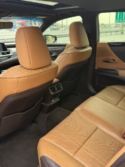 Lexus Es350 2020 full