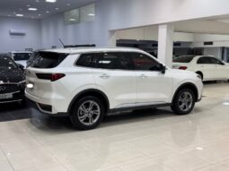 Ford Territory 2024 full