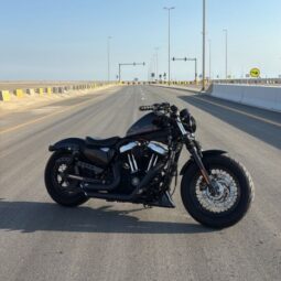 Harley Davidson Sportster S 2010 full