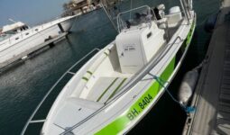 Boats Aldurazi Boats 2010 full