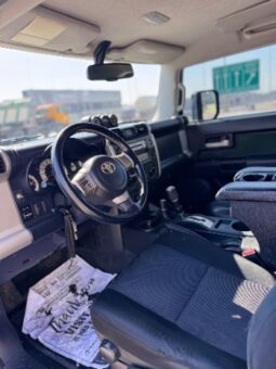 Toyota Fj Cruiser 2010 full