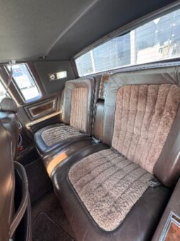 Other Other 1984 full