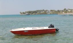 Boats American cruiser 17 feet 2017