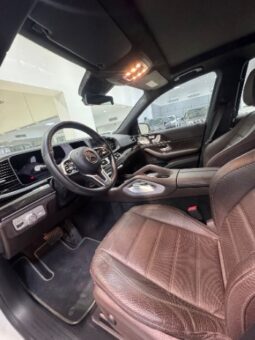 Mercedes Benz GLE 450 2023 full