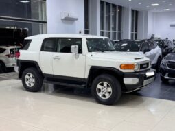 Toyota Fj Cruiser 2010