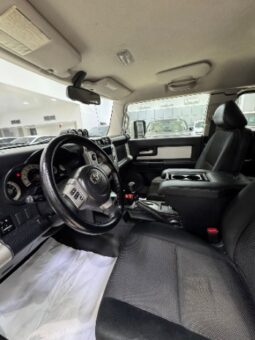 Toyota Fj Cruiser 2010 full